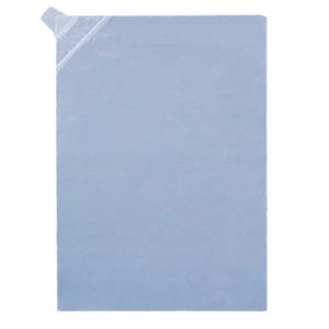 Display Protection Foil IS440.x (10 pcs)