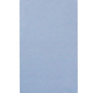 Display Protection Foil IS880.2 (10 pcs)